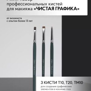 Мини-набор кистей #7 (Т20, Т10, ТМ10)